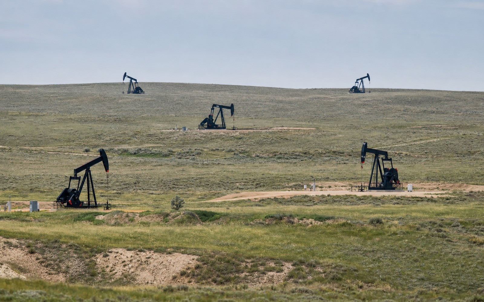 Bakken oil wells and royalty decline curves