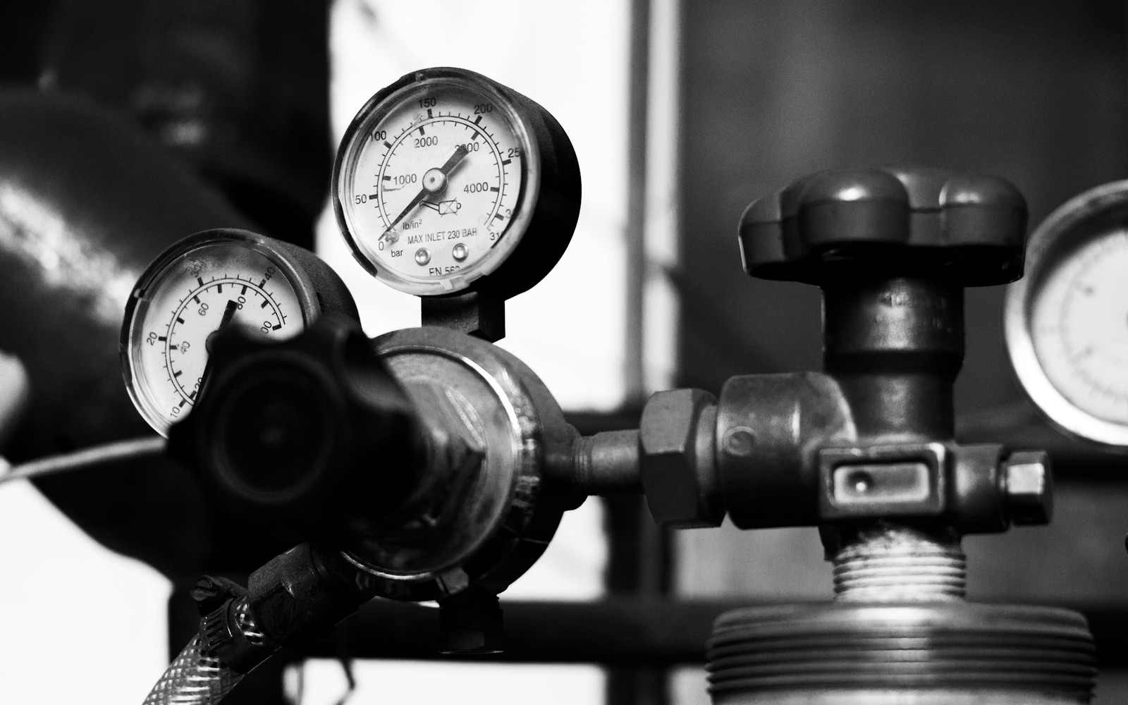 Cash Flow vs. Long-Term Value