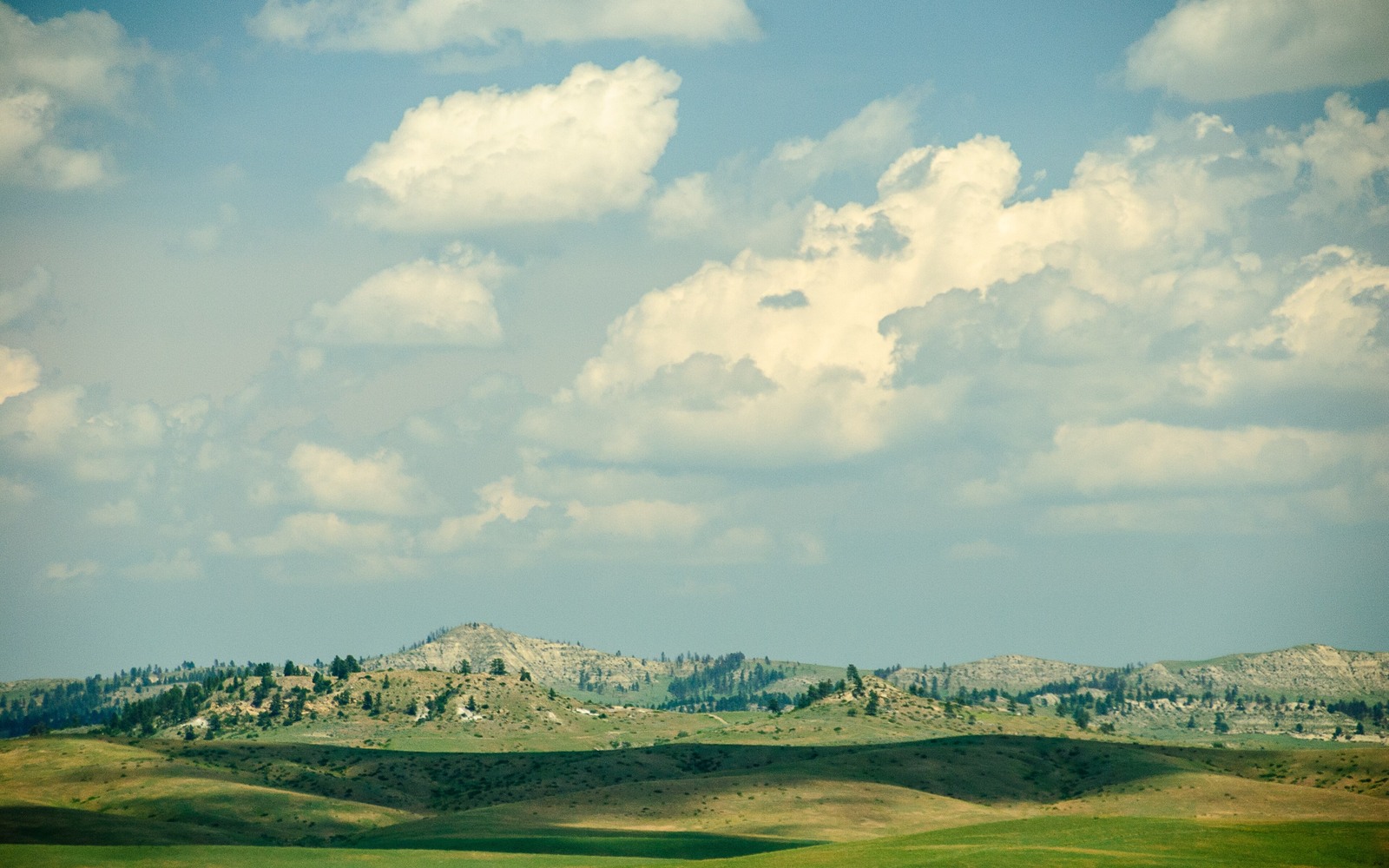 Sell Mineral Rights in Montana Sell Mineral Rights in Montana